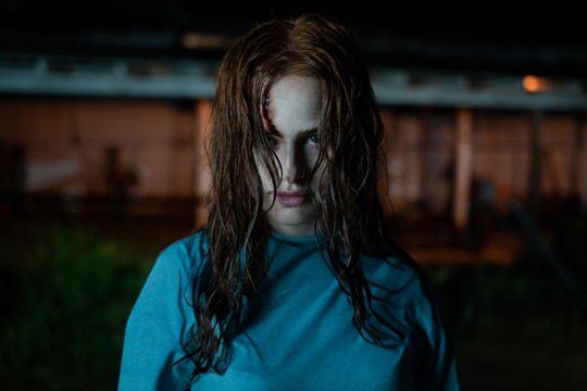 The Strangers - Chapter 2 - Szenenbild 2