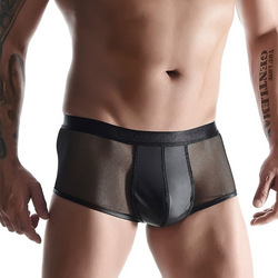 Sexy Shorts mit Mesh