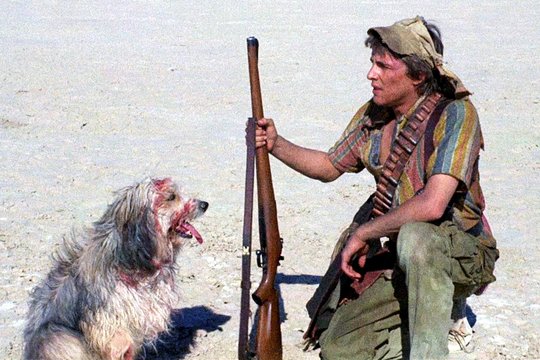Der Junge und sein Hund - Apocalypse 2024 - Szenenbild 4