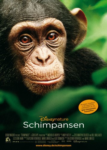 Schimpansen - Poster 2