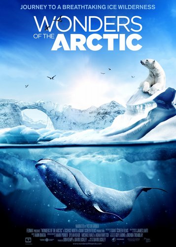 IMAX - Wonders of the Arctic - Poster 1
