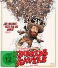 Hundreds of Beavers