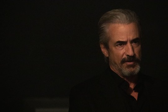 Section 8 - Szenenbild 1