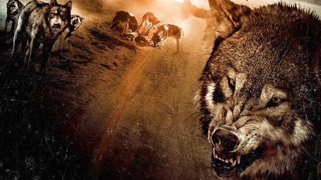 Wolf Town - Wallpaper 1