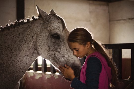 Ein Pferd für Klara - Szenenbild 5