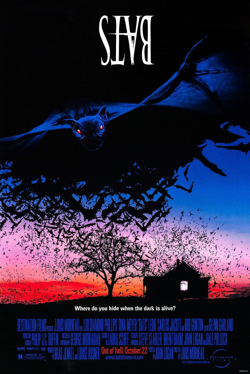 Bats DVD oder Bluray leihen VIDEOBUSTER.de