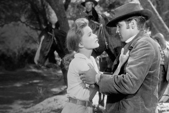 Love Me Tender - Pulverdampf und heiße Lieder - Szenenbild 3