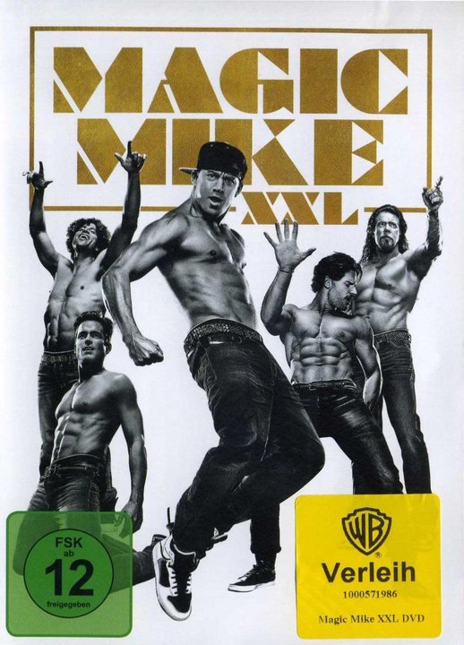 Magic Mike 2 - Magic Mike XXL (DVD), gebraucht
