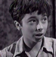 Peter J. Votrian