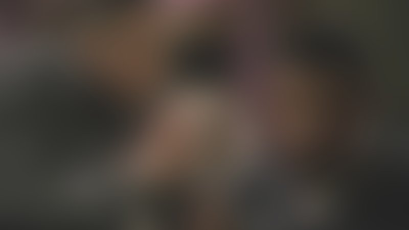 Fled - Trailer - Englisch - SD