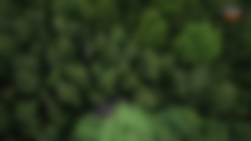 Bamboo Revenge - Trailer - Französisch - SD