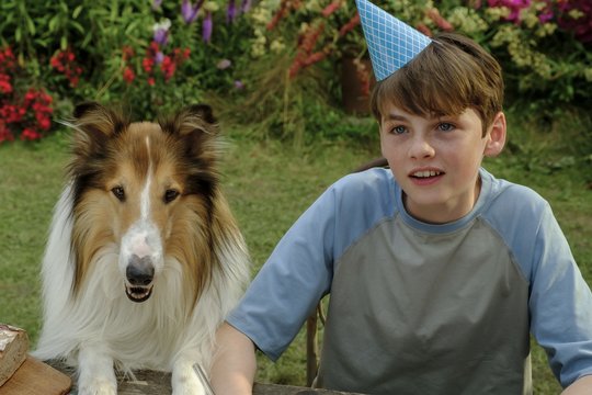 Lassie 2 - Ein neues Abenteuer - Szenenbild 13
