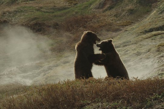 Im Land der Bären - Szenenbild 11