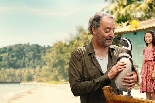 My Penguin Friend - Szenenbild 8