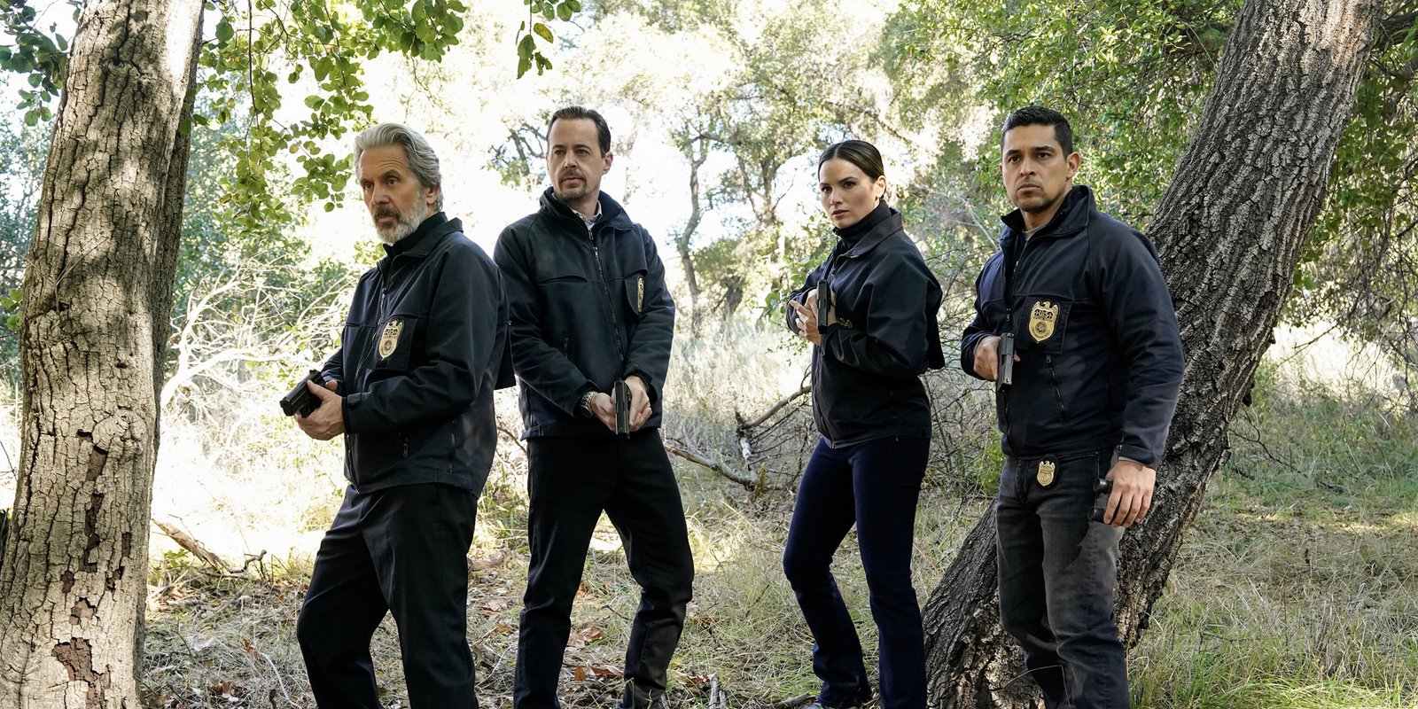NCIS - Navy CIS - Staffel 21