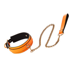 Radiant - Collar and Leash