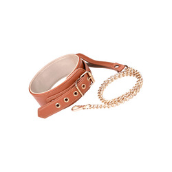 Blaze - Collar and Leash