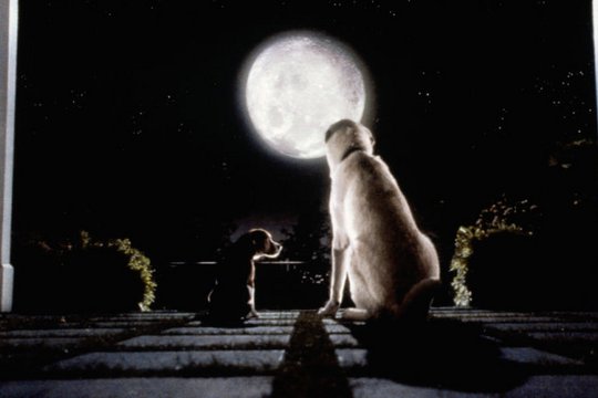 Cats & Dogs - Szenenbild 26