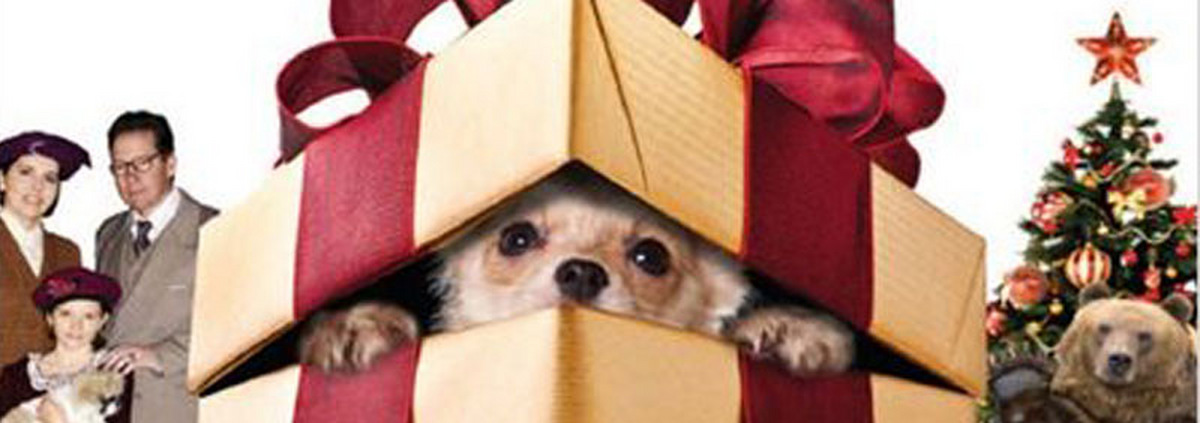 Nikolaus-Aktion: So bringt der Nikolaus Geschenke auch in euer Haus!