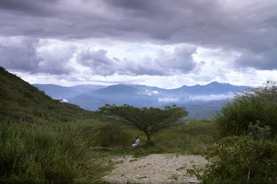 Wir, die Wolfs - Szenenbild 11