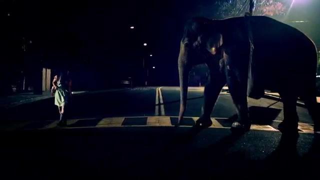 Rettet Flora - Trailer - Deutsch - SD