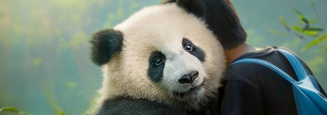 MOON, DER PANDA: Meisterregisseur Gilles de Maistres mit Panda Moon