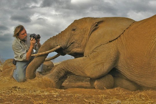 Serengeti - Szenenbild 21