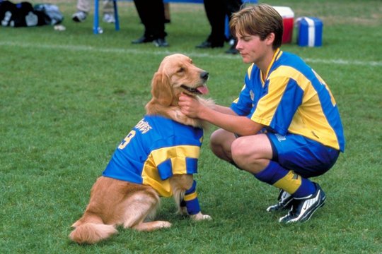 Air Bud 3 - Ein Hund für alle Bälle - Szenenbild 1