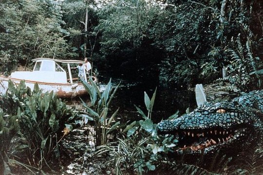 Der Mörder-Alligator - Szenenbild 1