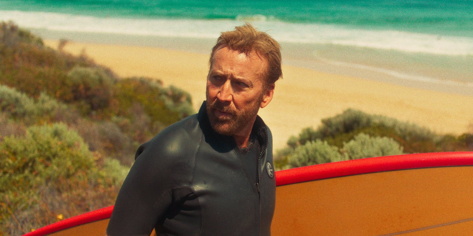 The Surfer
