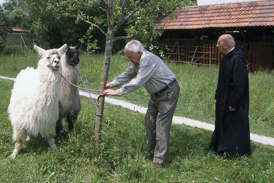 Forsthaus Falkenau - Staffel 13 - Szenenbild 5