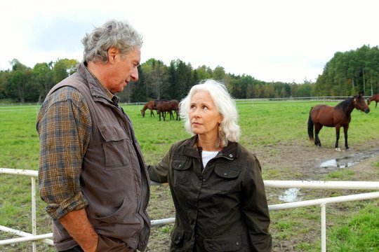 Inga Lindström - Wilde Pferde auf Hillesund - Szenenbild 5