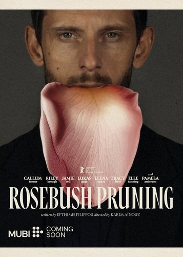 Rosebush Pruning - Poster 5