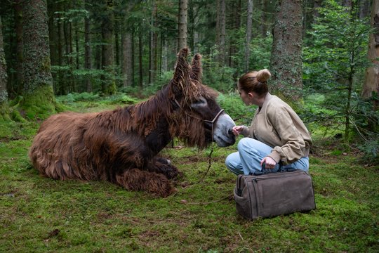 Tiere bis unters Dach - Staffel 11 - Szenenbild 1