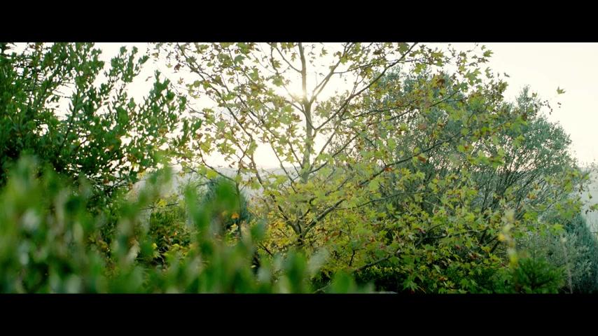 All The Pretty Little Horses - Trailer - Deutsch - SD