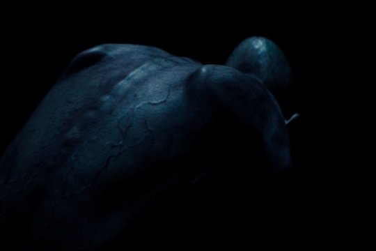 Somnium - Szenenbild 4