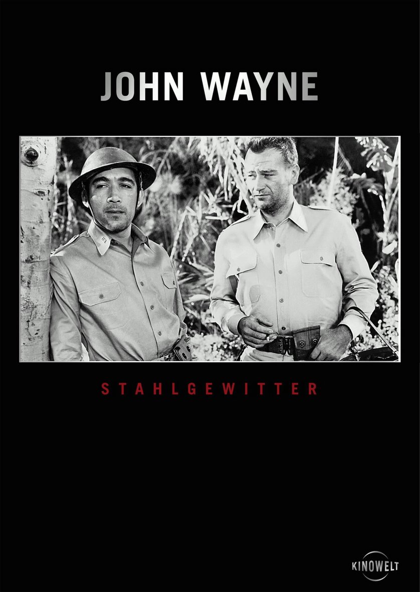 Stahlgewitter Ruhm Und Ehre Der Waffen Ss Download Stahlgewitter: DVD oder Blu-ray leihen - VIDEOBUSTER.de