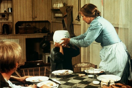 Michel aus Lönneberga - Die TV-Serie - Szenenbild 5