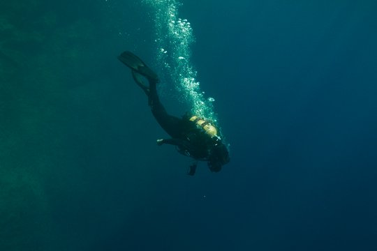 The Dive - Szenenbild 4