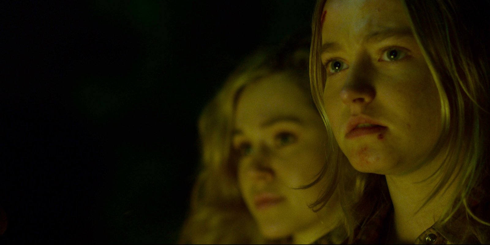 The Man in the White Van