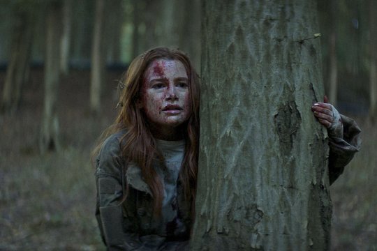 The Strangers - Chapter 2 - Szenenbild 1