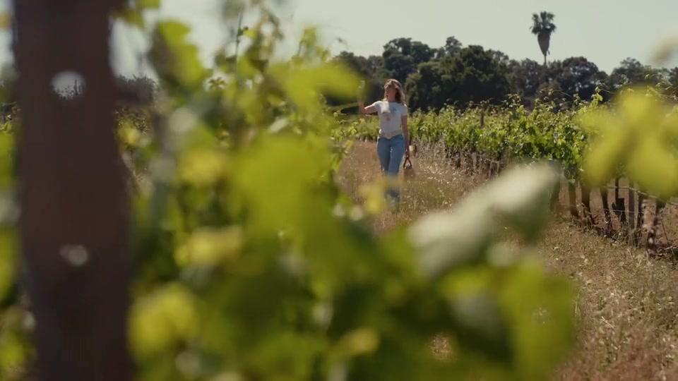 A Toast to Love - Sonne, Rosé und ein Hauch von Liebe - Trailer - Englisch - SD