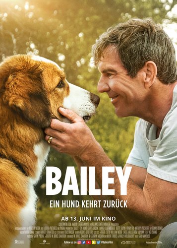 Bailey 2 - Ein Hund kehrt zurück - Poster 1