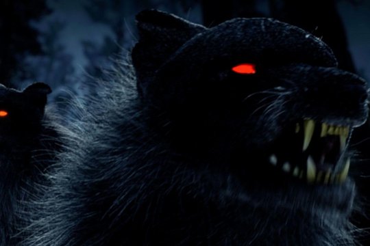 Witch Hunter - Der Hexenjäger - Szenenbild 1