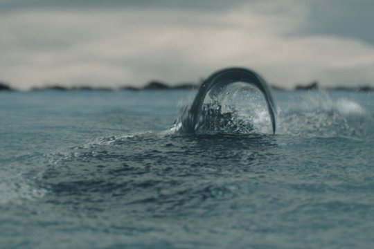 Killer Whale - Szenenbild 5