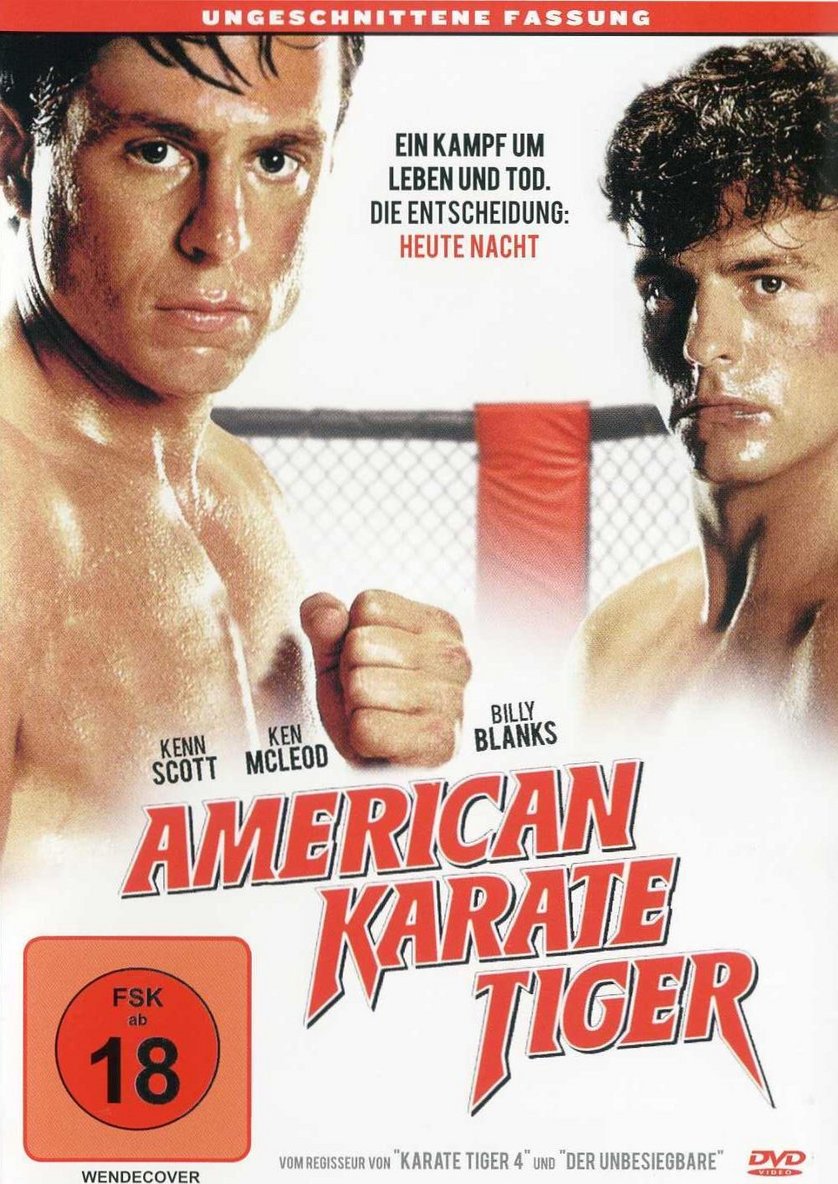 American Karate Tiger: DVD oder Blu-ray leihen ...