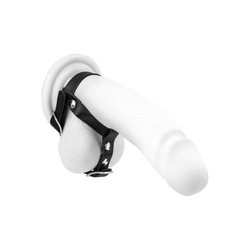Penis- und Hodengurt aus Leder