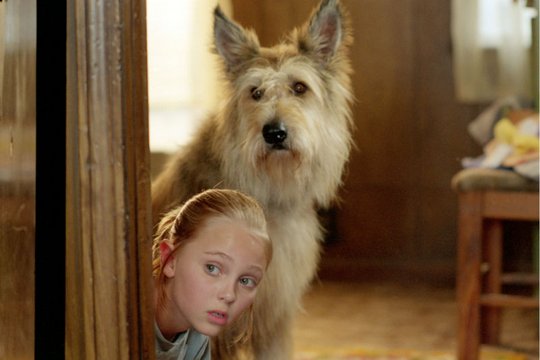 Winn-Dixie - Mein zotteliger Freund - Szenenbild 7