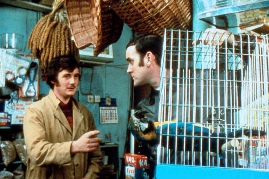 Monty Pythons wunderbare Welt der Schwerkraft - Szenenbild 1
