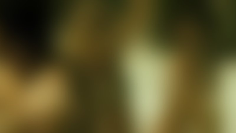 Sorority Row - Schön bis in den Tod - Trailer - Englisch - SD